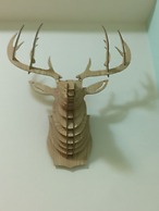 Summerle No 11 Hostel