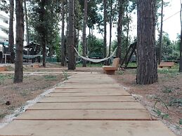 Biancopineta B&B