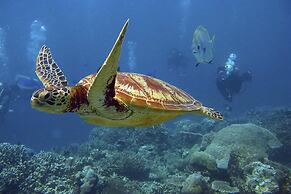 VallonEnd Beach Front Villa