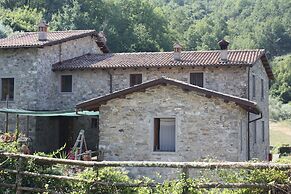 Le Chianine dei Tognoli