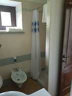 Le Chianine dei Tognoli