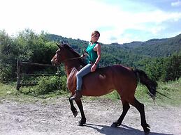 Le Chianine dei Tognoli