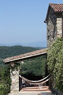 Le Chianine dei Tognoli