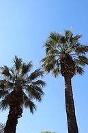 The Suites at Central Split