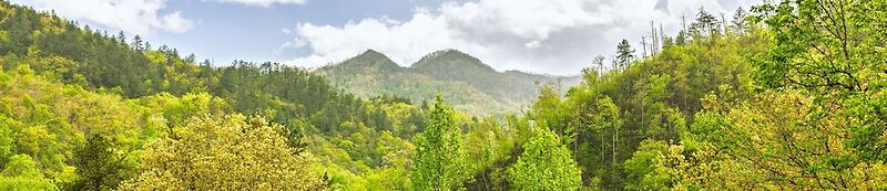 Nantahala Outdoor Center
