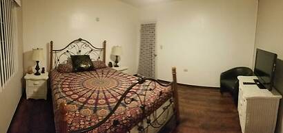 De Alamo Hostile - Hostel