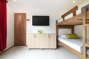 Ayenda 1238 Nuevo Colombia