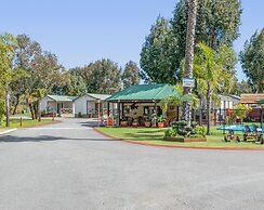 Mandurah Caravan & Tourist Park