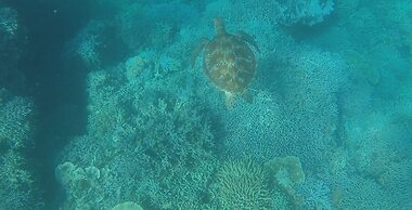 Alegria Water Front Beach House