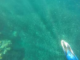 Alegria Water Front Beach House