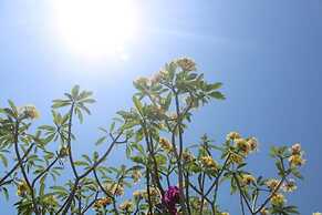 Summer Homestay Bali