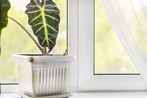 Apartment on Presnenskii Val