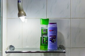 Apartment on Trubnaya