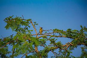 Ndhula Luxury Tented Lodge
