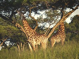 Ndhula Luxury Tented Lodge