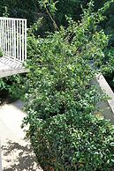 Hotel de Paris Montparnasse