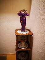 Apartment Ruza
