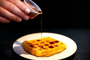 Wingate by Wyndham Bronx/Haven Park