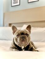 Wingate by Wyndham Bronx/Haven Park