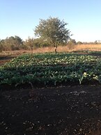 Livingstone Guest Farm - Hostel