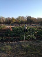 Livingstone Guest Farm - Hostel