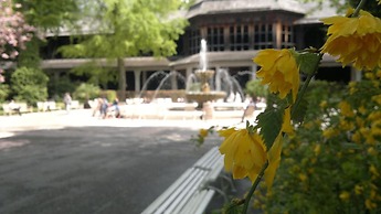 Hotel Garni Steiermark