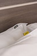 Ola Santiago Providencia, Tapestry Collection by Hilton