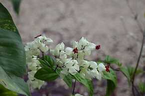 Hidden Haven - Hostel