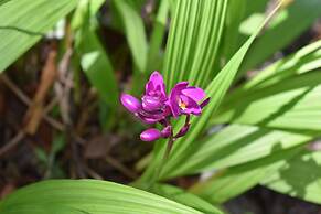 Hidden Haven - Hostel