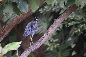 Hidden Haven - Hostel