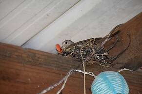 Hidden Haven - Hostel