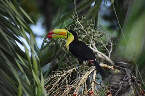 Hidden Haven - Hostel