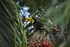 Hidden Haven - Hostel