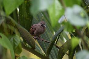 Hidden Haven - Hostel