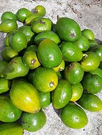 Hidden Haven - Hostel