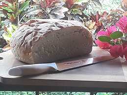 Hidden Haven - Hostel