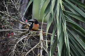 Hidden Haven - Hostel