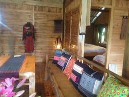 Lucky Daisy Buffalo House