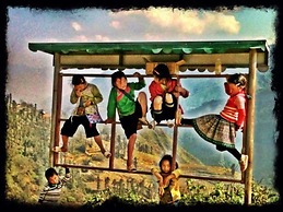 Lucky Daisy Buffalo House