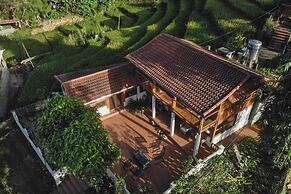 Lucky Daisy Buffalo House