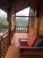 Lucky Daisy Buffalo House