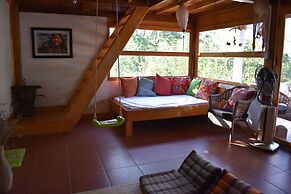 Lucky Daisy Buffalo House