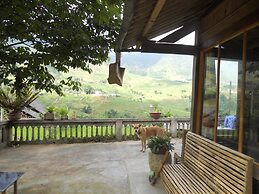 Lucky Daisy Buffalo House