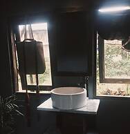 Lucky Daisy Buffalo House