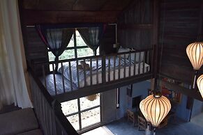 Lucky Daisy Buffalo House