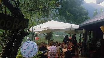 Lucky Daisy Buffalo House