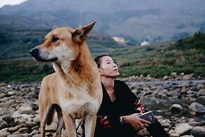 Lucky Daisy Buffalo House