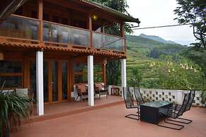 Lucky Daisy Buffalo House