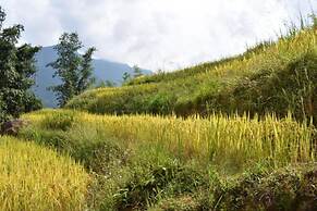 Lucky Daisy Buffalo House