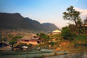 Lucky Daisy Buffalo House